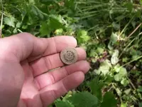two cent in hand.webp