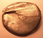 two cent watch design.webp