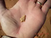 DSCN0039.webp