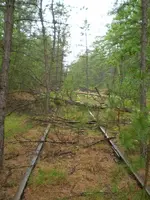 2009_05310003.webp