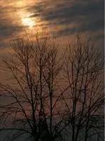 Redford Sunrise 3.webp