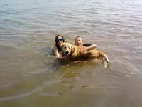 Boys in the river.webp