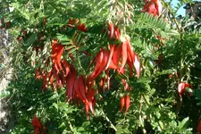 DSCF0625.webp