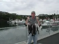 rock fish 003.webp