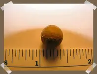 ball.webp