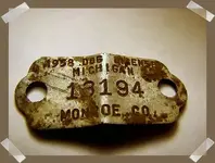 dogtag.webp