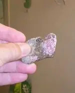 FossilizedCoral.jpg 0015.webp