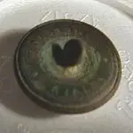NC button back.webp