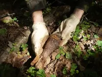 mortar-shell(notused).webp