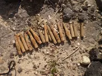 bullets.webp