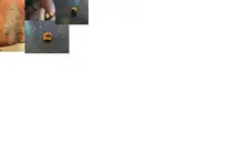 point.webp
