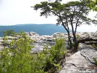 100_1786.webp