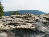 100_1787.webp