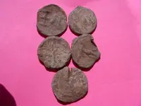 better pics 001.webp