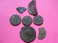 better pics 002.webp