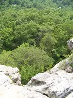 100_1792.webp