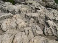 100_1793.webp