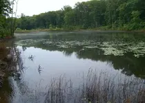 100_1801.webp