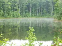 100_1805.webp