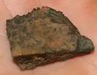 cutfossil 004.webp