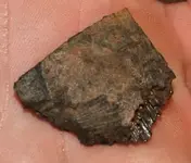 cutfossil 002.webp