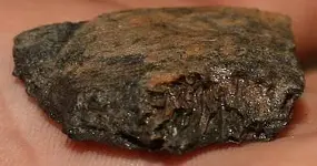 cutfossil 003.webp