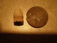 P7110477.webp