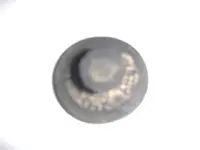 Coins 004.webp