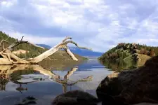 nofishagain[1].webp