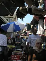 viadelrosa.webp