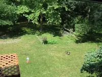 Sunbathing1.webp