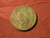 P8040071_800x600.webp
