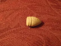P8050026_800x600.webp
