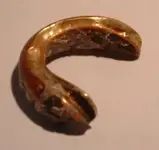 gold teeth 3.webp