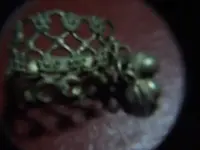Ring 002.webp