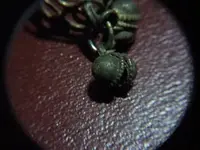 Ring 003.webp