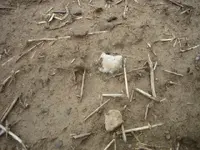 Picture 1998.webp