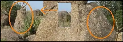 weathered face carvings.webp