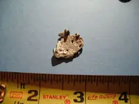 DSCF0050.webp