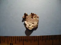 DSCF0053.webp