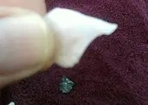 July 23 flake close2.webp