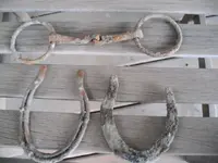 DSCF0002.webp