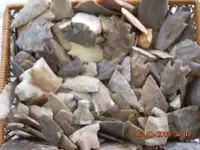 DSCN0025.webp