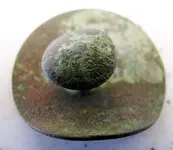 Unknown button back.webp