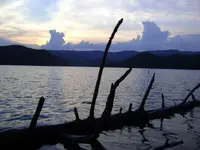 phpqyvMRBPM.webp