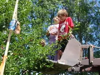 090711D 003a.webp