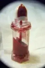 nail polish.webp