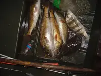 DSC04840.webp