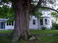 1830\'S HOUSE HUNT 2 [].webp