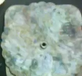 ATT00167.webp
